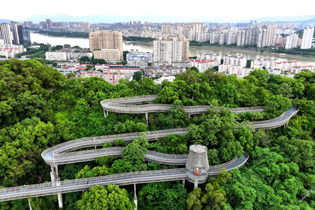 Aerial view of the “Fudao” walkway winding through the forest of Jinniu Mountain Park in summer on June 11, 2025 in Fuzhou, Fujian Province of China. (Photo by Wang Wangwang/VCG via Getty Images)