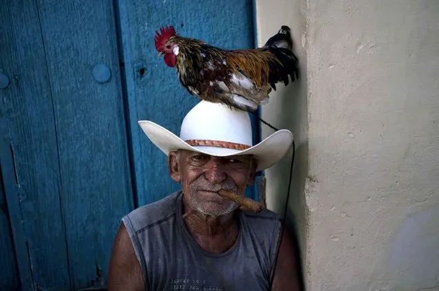 Jose poses with his rooster named Luis to be photographed for tourists in Trinidad, Cuba, Sunday, October 11, 2015. (Photo by Ramon Espinosa/AP Photo)