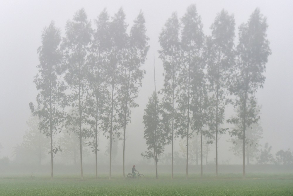 Some Photos: Foggy Day