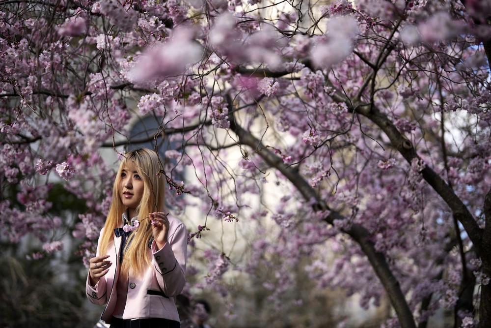 Some Photos: In Flowers