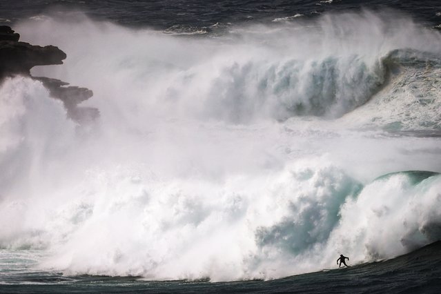 A surfer rides a large wave at Bondi Beach in Sydney on April 1, 2025, as large swells and high winds hit the east coast of Australia. (Photo by David Gray/AFP Photo)