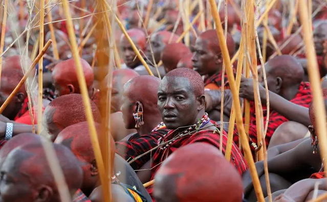 Maasai men of Matapato attend the Olng'esherr (meat-eating) passage ceremony to unite two age-sets; the older Ilpaamu and the younger Ilaitete into senior elder-hood as the final rite of passage, after the event was initially postponed due to coronavirus disease (COVID-19) outbreak in Maparasha hills of Kajiado, Kenya on September 23, 2020. (Photo by Thomas Mukoya/Reuters)