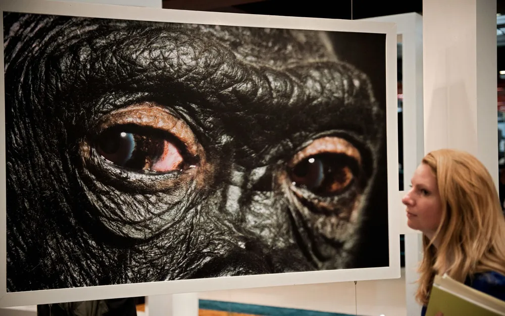 The Week in Pictures: Animals, March 4 – March 9 2013