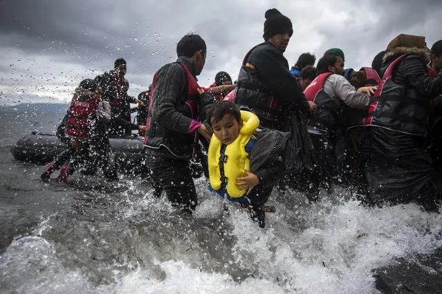 Refugees arrive on a dinghy from a Turkish coast to the northeastern Greek island of Lesbos, Saturday, October 24, 2015. The International Office for Migration says Greece over the last week experienced the largest single weekly influx of migrants and refugees this year, at an average of some 9,600 per day. (Photo by Santi Palacios/AP Photo)