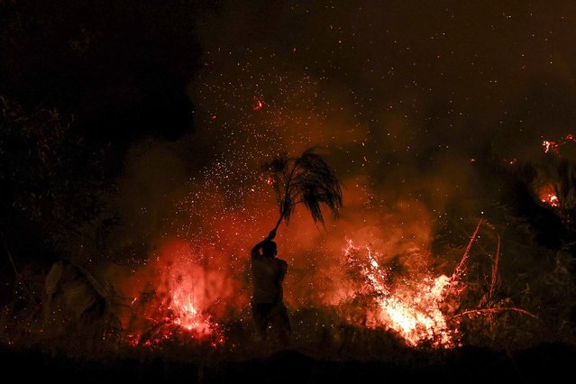 A man tries to extinguish a wildfire with a tree branch in Trancoso, Portugal, on Tuesday, August 12, 2025. Europe is on track for its worst wildfire season on record as swaths of the continent — including Portugal, France, Spain, Albania and Greece — battle raging, deadly fires as temperature soar above 100 degrees Fahrenheit. (Photo by Patricia Del Melo Moreira/AFP Photo)