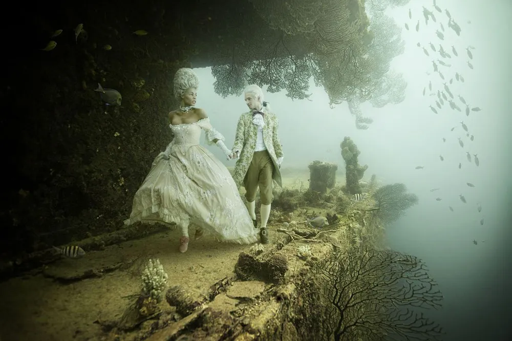 «Vandenberg» Project by Andreas Franke