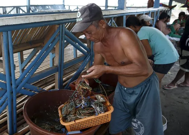 A fisherman sort crabs he is selling in a coastal village in Tacloban city in central Philippines November 2, 2015, ahead of the second anniversary of Typhoon Haiyan that killed more than 6,000 people in central Philippines. (Photo by Erik De Castro/Reuters)