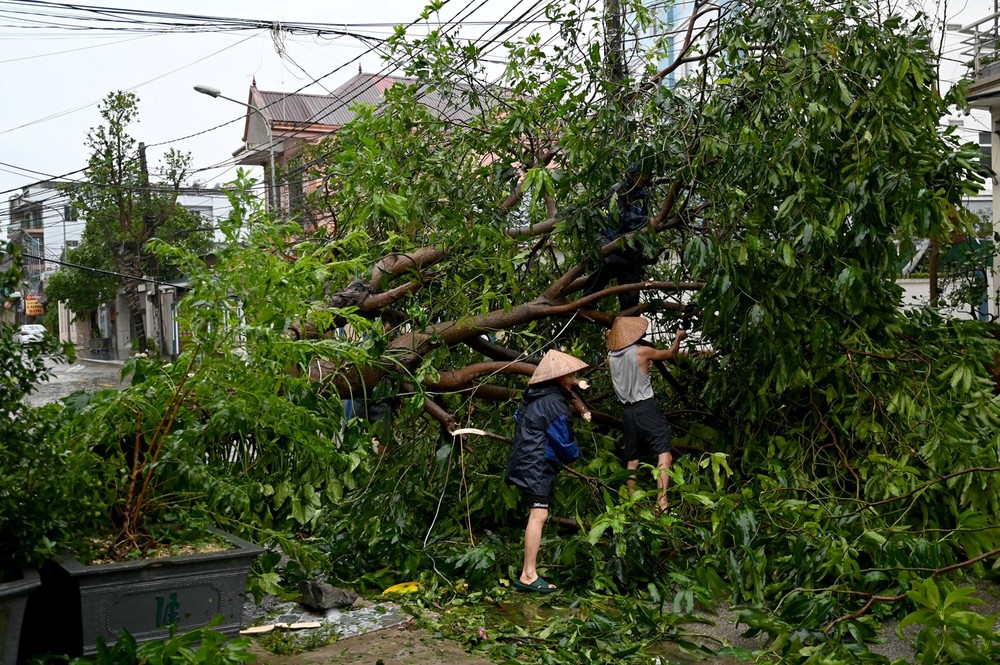 A Look at Life in Vietnam