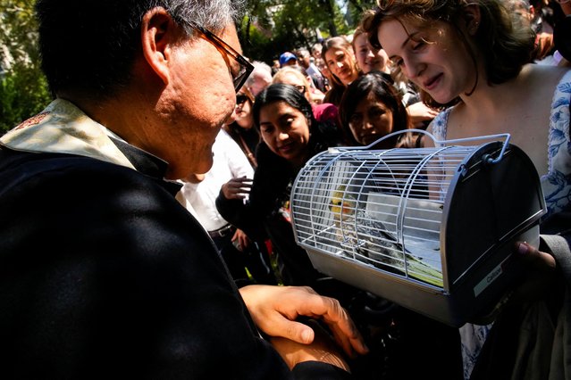 A priest blesses a cockatiel on the day of the Procession of the Animals at the annual Feast of Saint Francis and Blessing of the Animals at The Cathedral of St. John the Divine in the Manhattan borough of New York, on October 5, 2025. (Photo by Eduardo Munoz/Reuters)