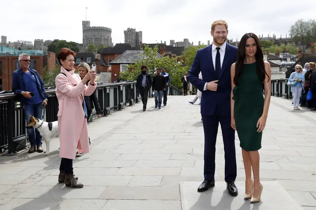 Tourists take photos with waxwork figures of Britain's Prince Harry and Meghan Markle against the backdrop of Windsor Castle, in Windsor, England, Wednesday, May 16, 2018. Preparations continue in Windsor ahead of the royal wedding of Britain's Prince Harry and Meghan Markle Saturday May 19. (Photo by Alastair Grant/AP Photo)