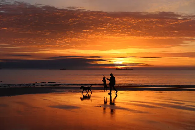 A man walks his dogs along the beach at sunrise on the Whitley Bay, England on October 30, 2016. (Photo by Owen Humphreys/PA Wire)