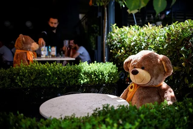 A large teddy bear, used to enforce social distancing, is pictured sitting at a cafe in Pristina on July 23, 2020, as Kosovo authorities announce new measures to fight against the resurgence of the COVID-19, the novel coronavirus. (Photo by Armend Nimani/AFP Photo)