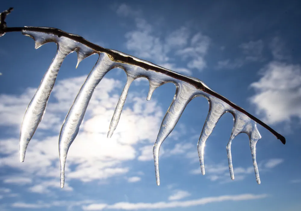 The Day in Photos – February 12, 2021