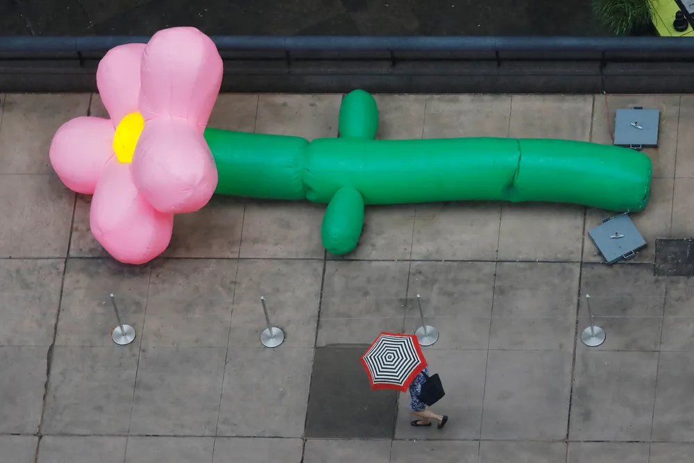 A Look at Life in USA