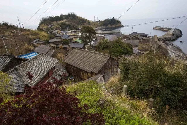 An overview shows the main part of the fishing village on Aoshima Island in Ehime prefecture in southern Japan February 25, 2015. An army of cats rules the remote island in southern Japan, curling up in abandoned houses or strutting about in a fishing village that is overrun with felines outnumbering humans six to one. Picture taken February 25, 2015.REUTERS/Thomas Peter 