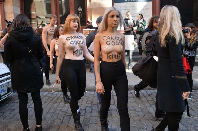 A group of PETA supporters protest Canada Goose's use of coyote fur, with “Canada Goose Kills” painted on their backs in New York, USA on October 18, 2018. (Photo by Erik Pendzich/Rex Features/Shutterstock)