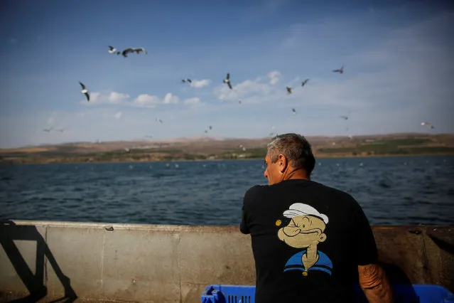 Menahem Lev, a fisherman from Kibbutz Ein Gev, stands on his boat as he works in the Sea of Galilee, northern Israel November 20, 2016. (Photo by Ronen Zvulun/Reuters)