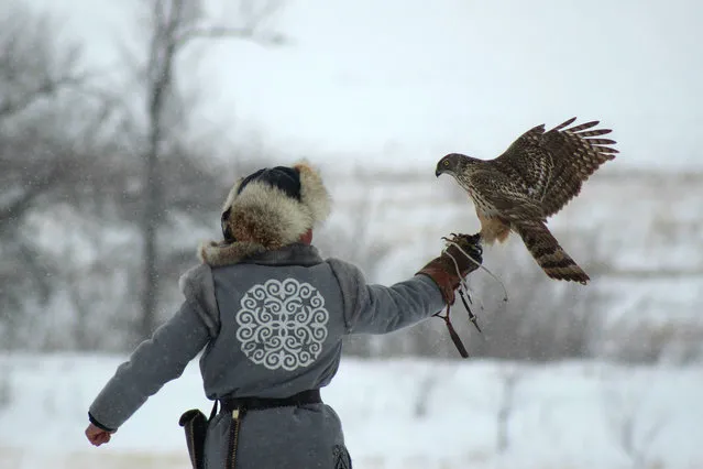 A Kazakh eagle hunter, known as a “berkutchi”, takes a part in national hunting competition in Uralsk, Kazakhstan, on February 25, 2018. (Photo by Pyotr Trotsenko/Radio Free Europe/Radio Liberty)