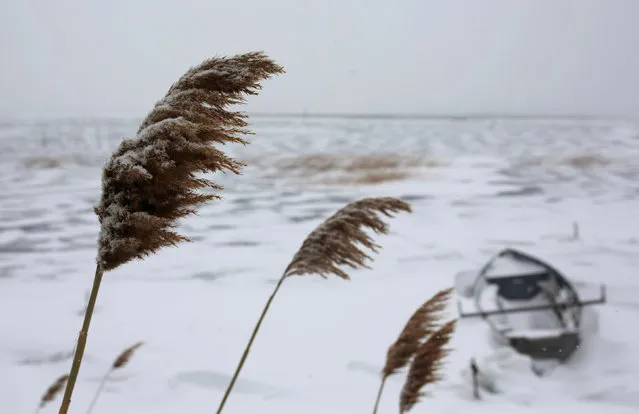 A fishing boat is stuck in the frozen Dojran lake, Macedonia January 11, 2017, as icy weather continues across Europe. (Photo by Ognen Teofilovski/Reuters)