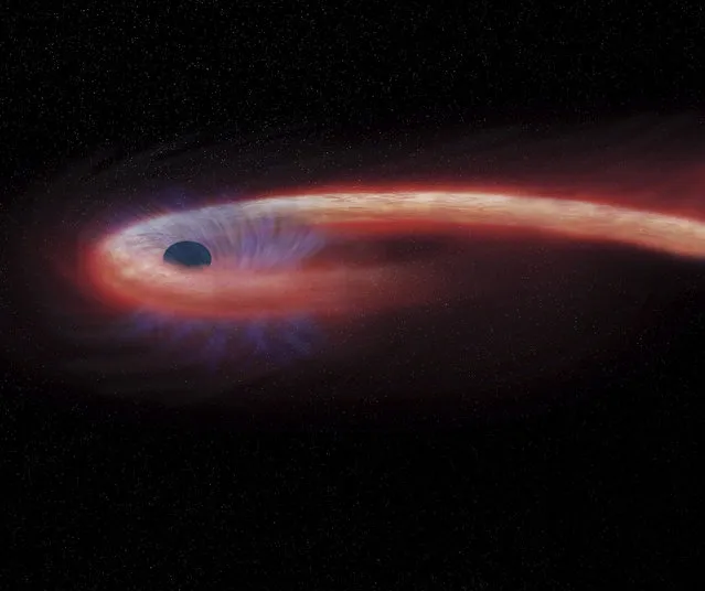 This artist rendering provided by NASA shows a star being swallowed by a black hole, and emitting an X-ray flare, shown in red, in the process. A new study published Monday, February 6, 2017, in the journal Nature Astronomy details a black hole that's taken a record-breaking decade to devour a star 1.8 billion light-years from Earth. (Photo by NASA/Chandra X-ray Observatory/M.Weiss via AP Photo)