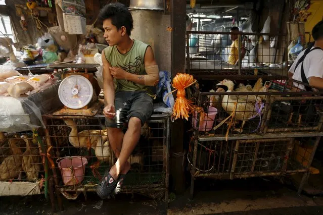 A vendor sits at his stall as he sells ducks at a market in Bangkok, Thailand March 31, 2016. (Photo by Jorge Silva/Reuters)