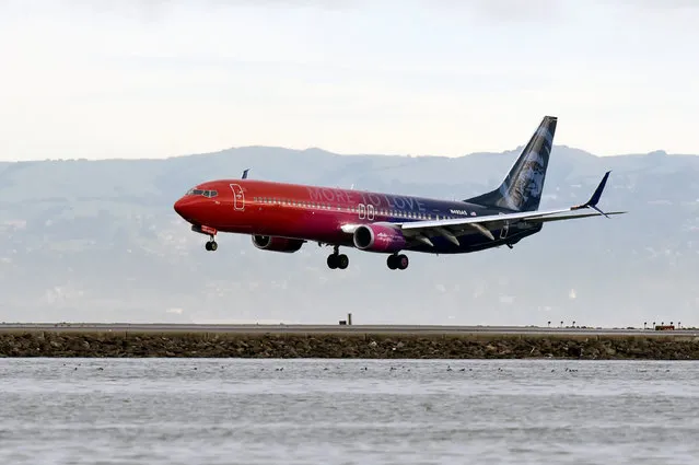 A specially painted, co-branded Alaska Airlines and Virgin America 737-900ER aircraft, painted in shimmering red, purple and blue and featuring the slogan “More to love”, lands at San Francisco International Airport, California, U.S., December 14, 2016. The newly painted aircraft is part of the merger celebration of Alaska Airlines and Virgin America. (Photo by Courtesy Bob Riha, Jr./Reuters/Alaska Airlines)