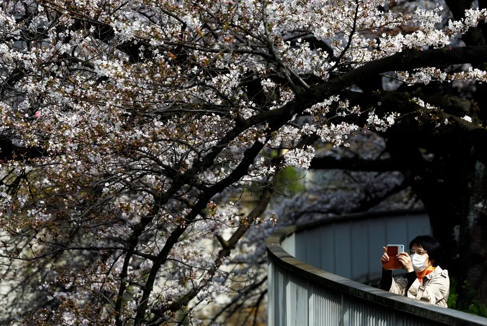 A Look at Life in Japan