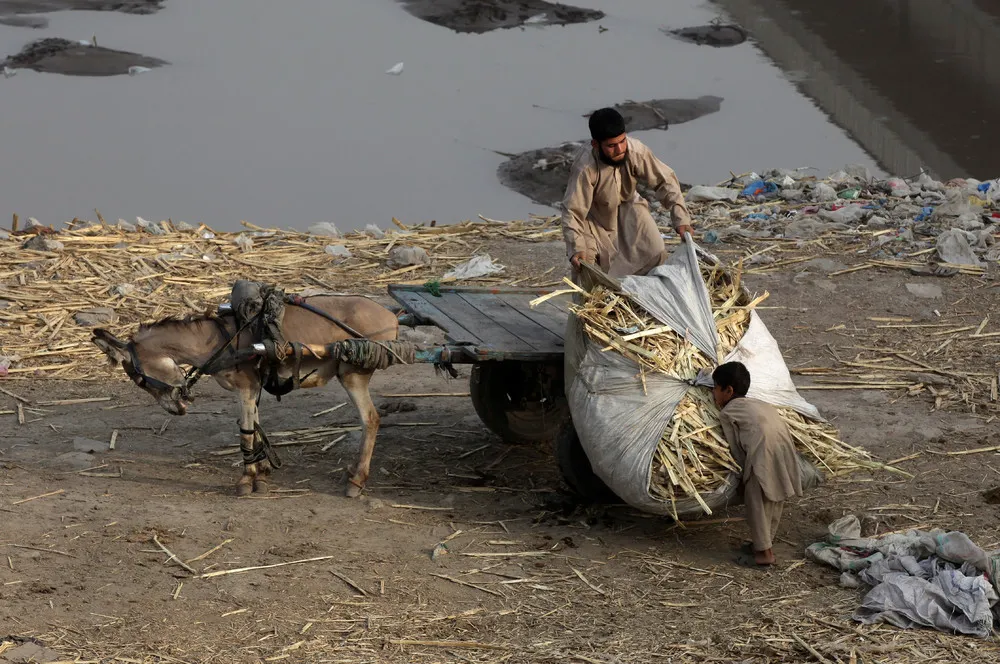 A Look at Life in Pakistan