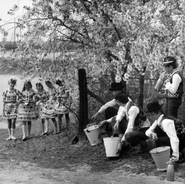 In Hungary, it is an Easter tradition that young boys sprinkle young girls with water on Easter Monday; in return for their dousing the girls gratefully give them painted Easter eggs as gifts; here some young fellows lay in wait of their prey, April 1976. (Photo by Albert Kozak/Hulton Archive/Getty Images)