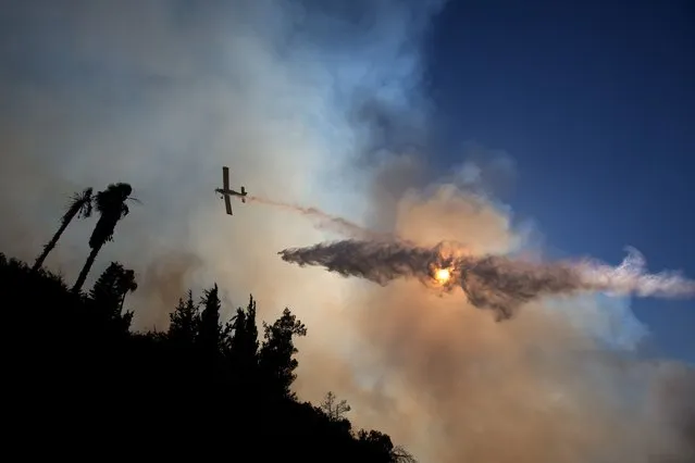 A plane drops water over Jerusalem forest in an attempt to control wildfires on June 25, 2014 near the Jerusalem neighborhood of Ein Kerem. (Photo by Menahem Kahana/AFP Photo)