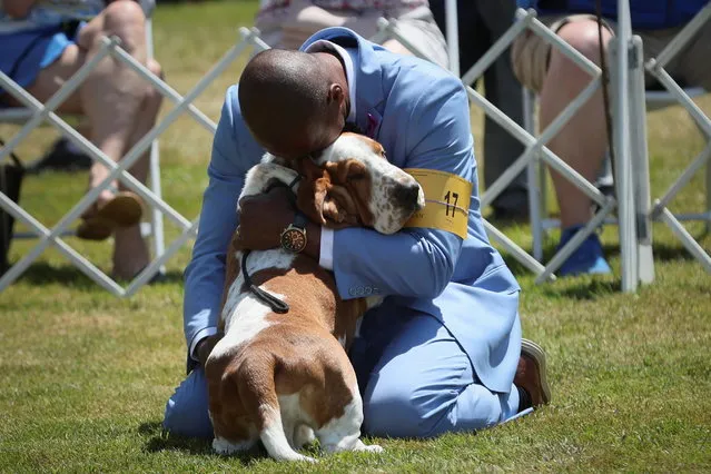 Handler Claudio Cruz embraces Ethan, a Basset Hound, after winning the "Best of Breed" competition during breed judging at the 146th Westminster Kennel Club Dog Show at the Lyndhurst Estate in Tarrytown, New York, U.S., June 20, 2022. (Photo by Mike Segar/Reuters)