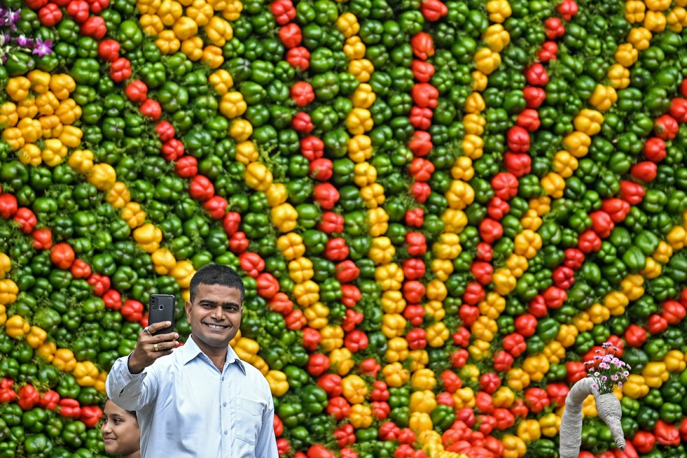 A Look at Life in India