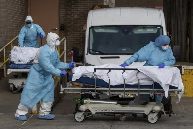 Medical personnel wearing personal protective equipment remove bodies from the Wyckoff Heights Medical Center Thursday, April 2, 2020 in the Brooklyn borough of New York.  As coronavirus hot spots and death tolls flared around the U.S., the nation's biggest city was the hardest hit of the all, with bodies loaded onto refrigerated morgue trucks by gurney and forklift outside overwhelmed hospitals, in full view of passing motorists. (Photo by Mary Altaffer/AP Photo)