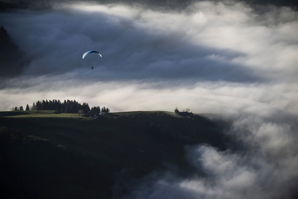 Some Photos: Foggy Day