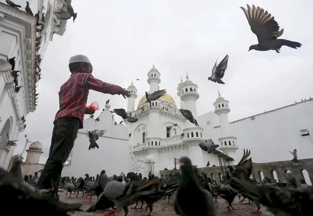 A Muslim boy feeds pigeons after Friday prayers during the holy month of Ramadan at a mosque in Colombo, Sri Lanka June 16, 2017. (Photo by Dinuka Liyanawatte/Reuters)