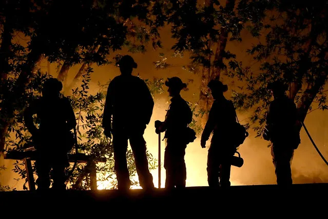 CalFire firefighters monitor a firing operation as they battle the Tubbs Fire on October 12, 2017 near Calistoga, California. At least thirty one people have died in wildfires that have burned tens of thousands of acres and destroyed over 3,500 homes and businesses in several Northen California counties. (Photo by Justin Sullivan/Getty Images)