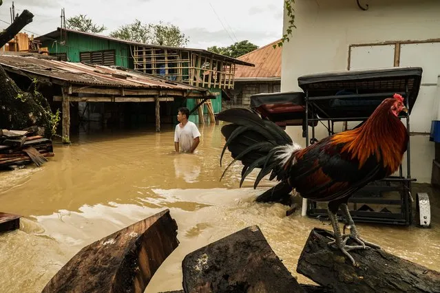 Villagers wades the flooded area brought by super typhoon Noru at San Ildefonso in Bulacan on September 26, 2022. (Photo by Dante Diosina Jr/Anadolu Agency via Getty Images)