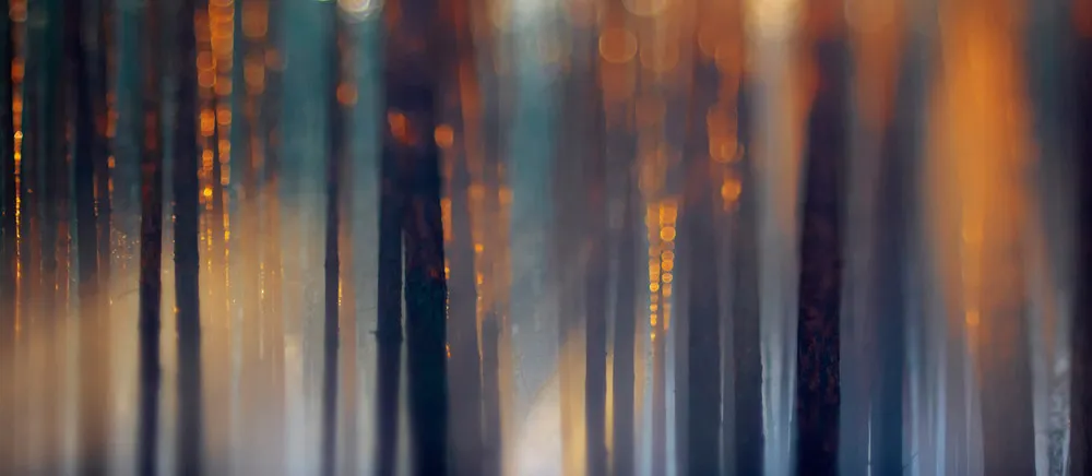 The Veolia Environnement Wildlife Photographer of the Year Competition