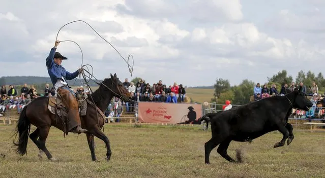 A participant ropes a calf during the Russian Rodeo in the village of Kotliakovo, Bryansk region, southeast of Moscow, Russia, September 12, 2015. (Photo by Maxim Shemetov/Reuters)