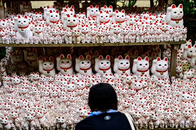 A visitor takes pictures of Maneki statues, also known as beckoning cat, at G?tokuji temple in Tokyo on June 10, 2020. (Photo by Philip Fong/AFP Photo)