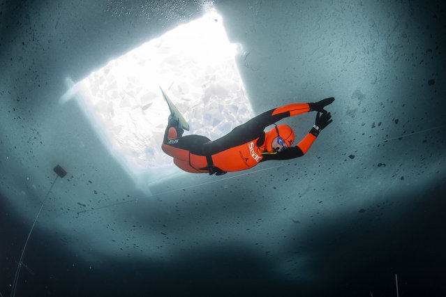 In this handout provided by Limex Images, Valentina Cafolla of Croatia is seen during her record dive in the category “Dynamic Freedive under ice” at the Lago di Anterselva on February 24, 2024 near Bolzano, Italy. She set new World records with the single fin with a distance of 140 meters and with the double fin with 80 meters. (Photo by Predrag Vuckovic via Getty Images)