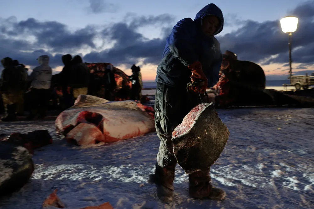 Whale Catch is Survival in Alaska Town