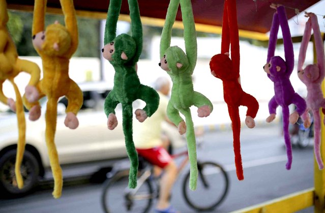 Monkey dolls are displayed at a makeshift store along a busy road in suburban Makati, south of Manila, Philippines on Sunday, October 11, 2015. (Photo by Aaron Favila/AP Photo)