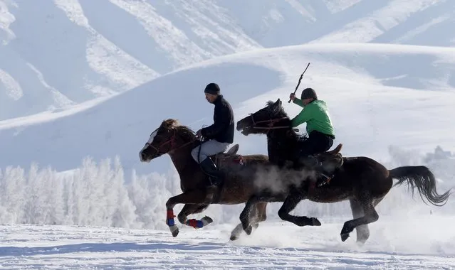 Kyrgyz horsemen take part in the traditional Central Asian sport Kok-Boru, dragging a goat, in the village of Gornaya Mayevka, 30 km from Bishkek, Kyrgyzstan, 12 January 2023. Kok-boru is a traditional Central Asian game in which players grab a goat carcass from the ground, riding horses and trying to score a goal by putting it in the opponent's goal. (Photo by Igor Kovalenko/EPA/EFE/Rex Features/Shutterstock)