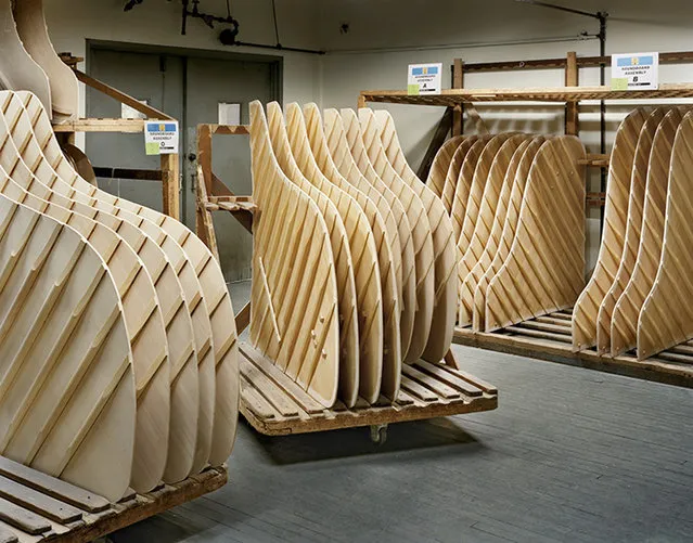 The Making of A Steinway Piano  By Christopher Payne