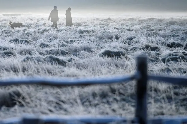 People walk with a dog over frozen grassland as the cold weather continues, in Bushy Park, London, Britain on January 19, 2023. (Photo by Toby Melville/Reuters)