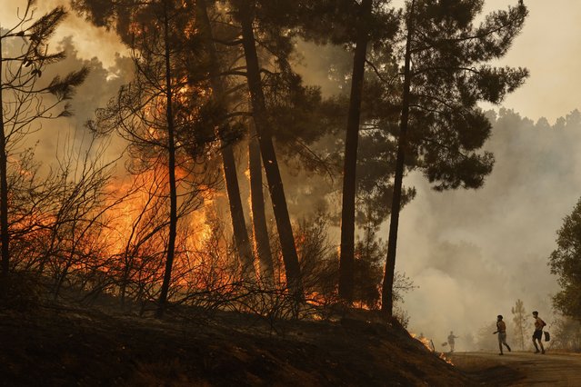 Local residents and volunteers try to put out a wildfire in Larouco, northwestern Spain, Wednesday, August 13, 2025. (Photo by Lalo R. Villar/AP Photo)