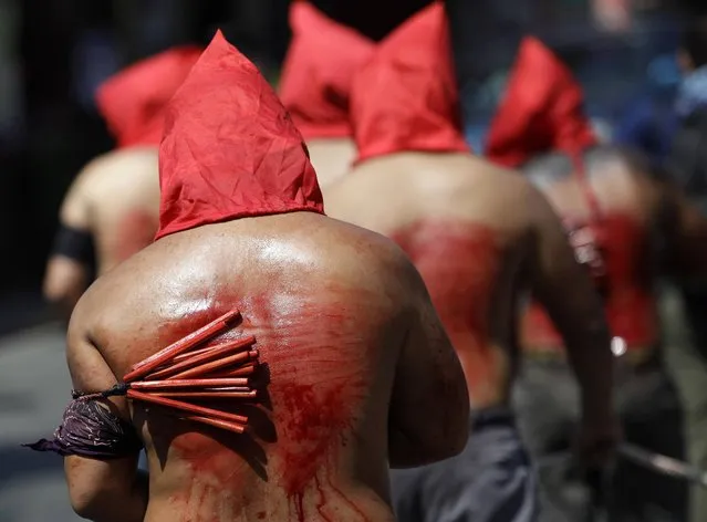 Filipino hooded penitents flagellate themselves during Maundy Thursday rituals to atone for sins on March 28, 2013, in suburban Mandaluyong, east of Manila, Philippines. The ritual is frowned upon by church leaders in this predominantly Roman Catholic country. (Photo by Aaron Favila/AP Photo)