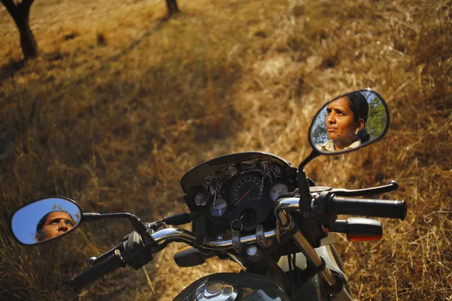 A forest guard poses for a photograph while patrolling on her motorcycle at the Gir National Park and Wildlife Sanctuary in Sasan, in Gujarat December 2, 2014. (Photo by Anindito Mukherjee/Reuters)