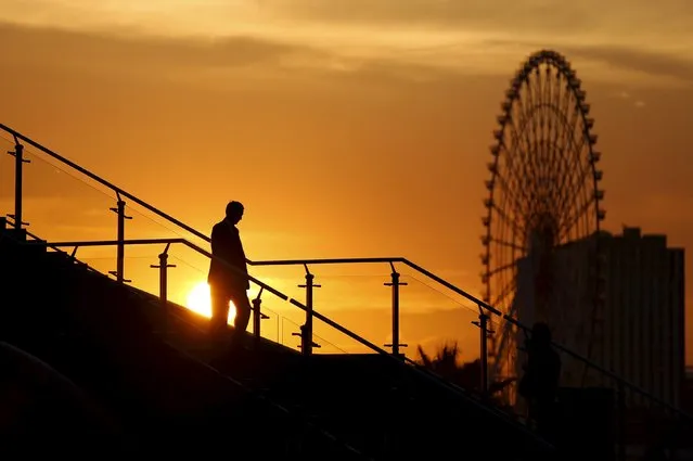 A man walks on a bridge as a big ferris wheel is seen in the background, during sunset in Tokyo, Japan, November 5, 2015. (Photo by Issei Kato/Reuters)
